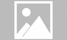 开云体育在线-荷兰国家队主教练公开表态不会接受其他俱乐部邀约的简单介绍