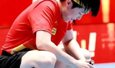 开云平台-马来西亚羽毛球队力克英格兰羽毛球队，马琳送出助攻的简单介绍