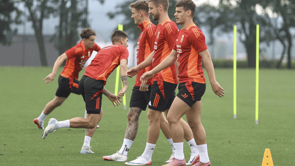 包含欧预赛球迷狂热，场上场下热闹非凡的词条