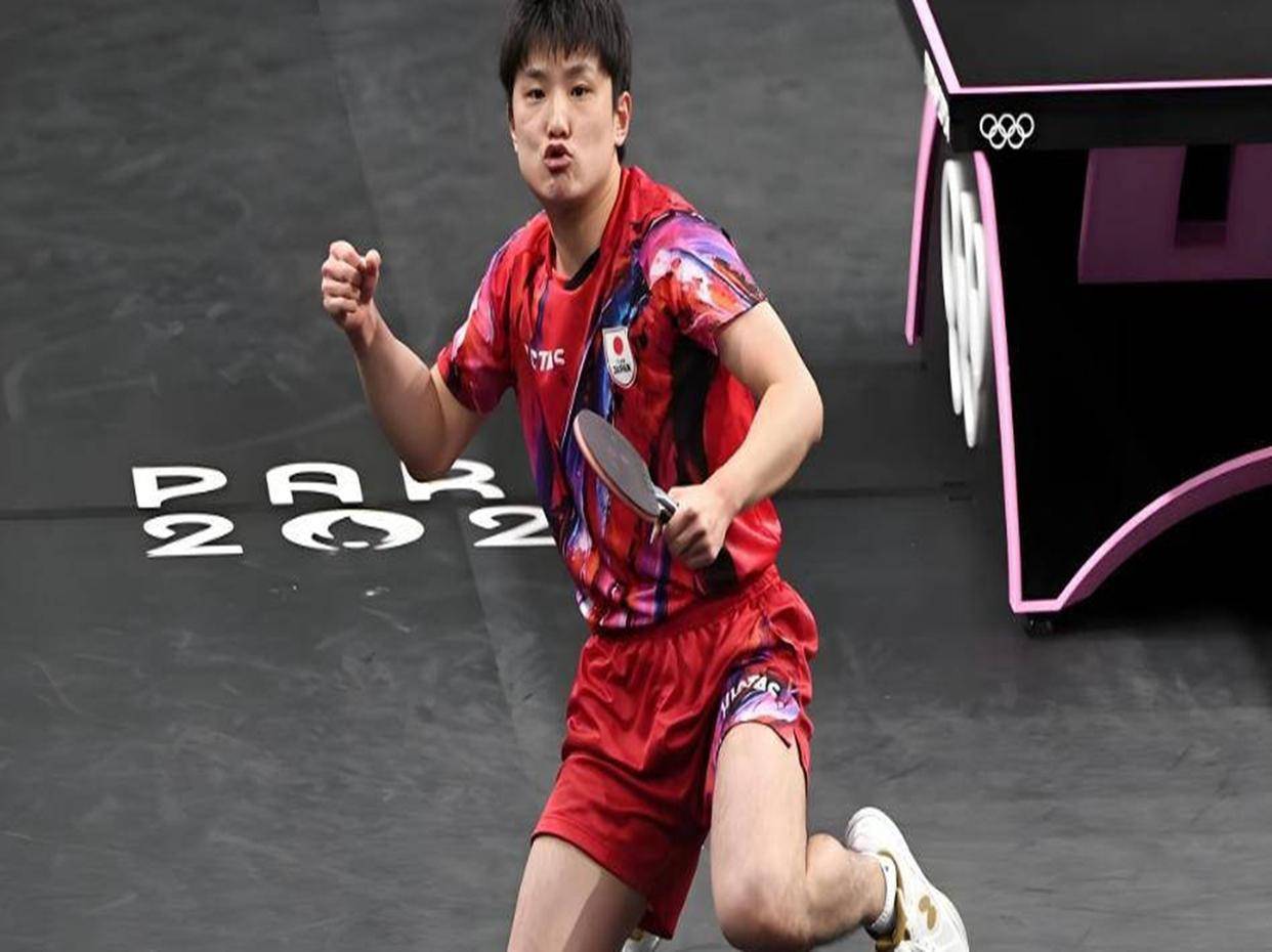 包含法国队轻取中国队，张本智和扛起全队的词条